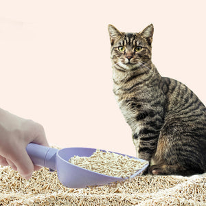 CATS POOP SCOOP WITH BASE PETS CLEANNING TOOL